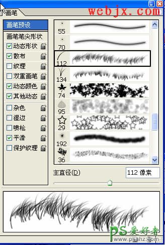 巧用PS画笔给可爱的鹦鹉图片添加多彩毛绒边框效果