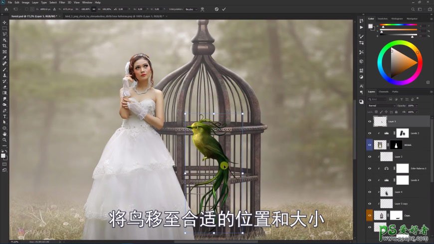 Photoshop创意合成森系婚纱照美女与巨型鸟笼在森林中的秘境场景