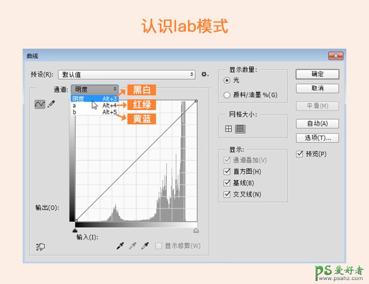 PS调色技巧教程：学习快捷的调色方法—lab调色法，让照片更光鲜