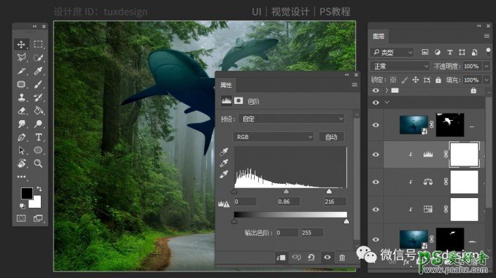 Photoshop梦幻合成在森林中嬉戏的鲸鱼场景，让鱼嬉戏在森林间。