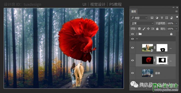 Photoshop创意合成一条红金鱼穿梭在森林里的奇幻照片。