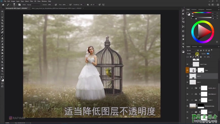 Photoshop创意合成森系婚纱照美女与巨型鸟笼在森林中的秘境场景