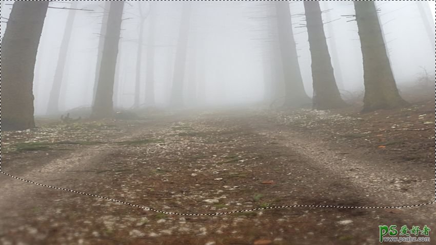 PS梦幻动物场景合成实例：打造深夜月光下迷雾森林中行走的鹿王。