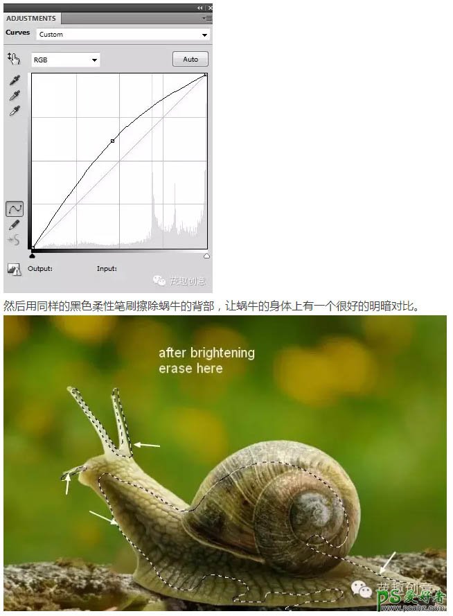 PhotosHop创意合成意境梦幻童话世界里坐在蜗牛上的小花仙子