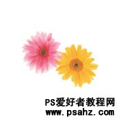 photoshop设计漂亮的花纹浮雕字效果实例教程