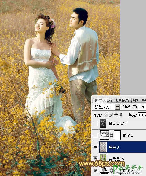 PS调色教程：给油菜花地里的情侣婚片调出金色效果