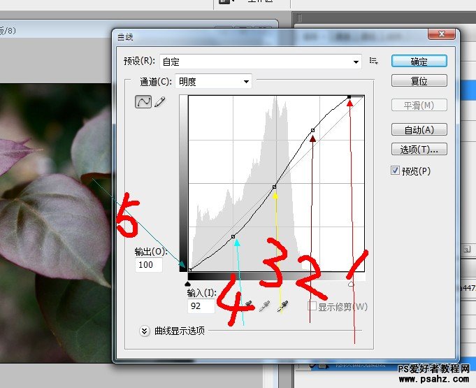 PS调色教程：在LAB模式下给灰度的花卉图片调出通透艳丽效果