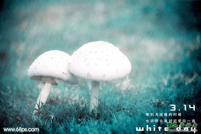 PS调色教程：给一对漂亮的小蘑菇图片调出伤感的青色调