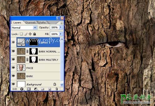 PS人像合成教程：快速合成出恐怖效果的树皮人脸效果