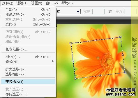 PS基础教程：选区工具的应用技巧讲解