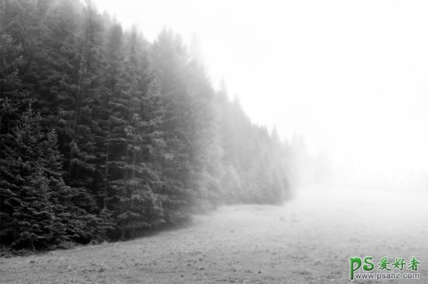 PS给树林风景照调出黑白迷雾效果