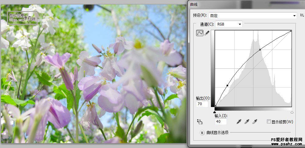 PS照片调色教程：给花朵图片调出清新淡雅的日系风格