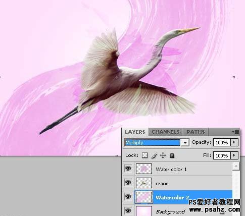 利用素材photoshop设计漂亮的仙鹤水彩画效果图教程
