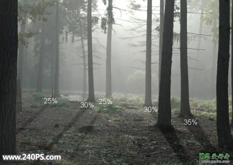 PS场景合成实例：创意打造森林中鹿角中蕴含的大世界场景。