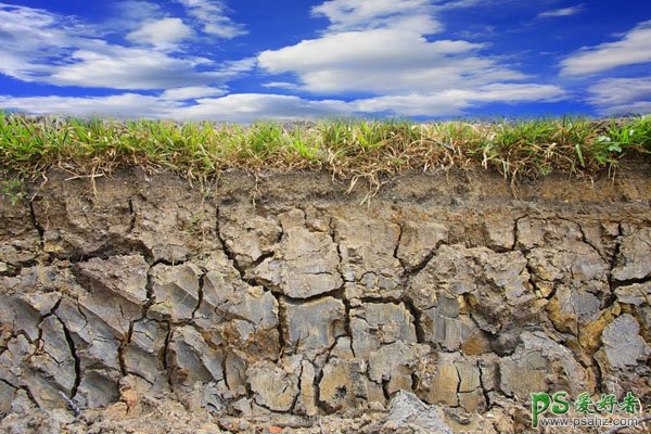 PS合成教程：把树根、骷髅、鸟巢等素材合成出古怪的骷髅树效果图