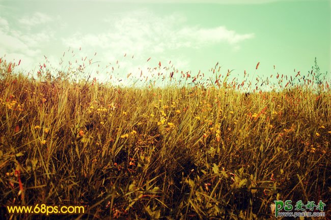 PS调色教程：给草地风景照调出淡雅的金黄色