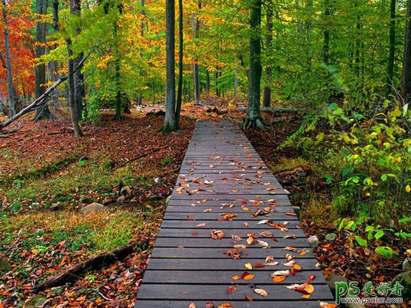 photoshop给秋季风景图片调出诡异的蓝光效果