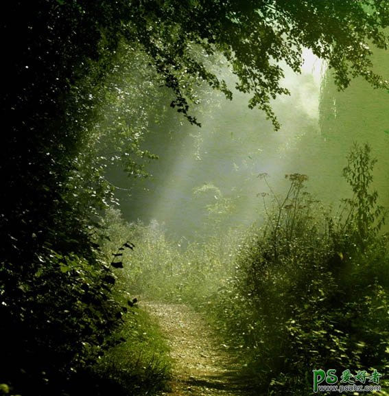 photoshop创意合成密林深处的梦幻公主形象艺术照