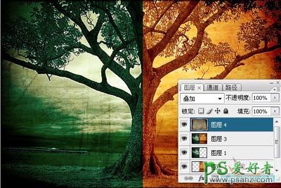 photoshop给草原上的枯树风景快速调出冷暖两种色调