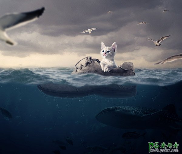 ps创意合成教程：制作在大海上坐着皮鞋漂流的小猫，可爱小猫咪
