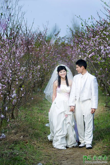 photoshop给春日桃花林里的情侣婚片调出艳丽的桃红色