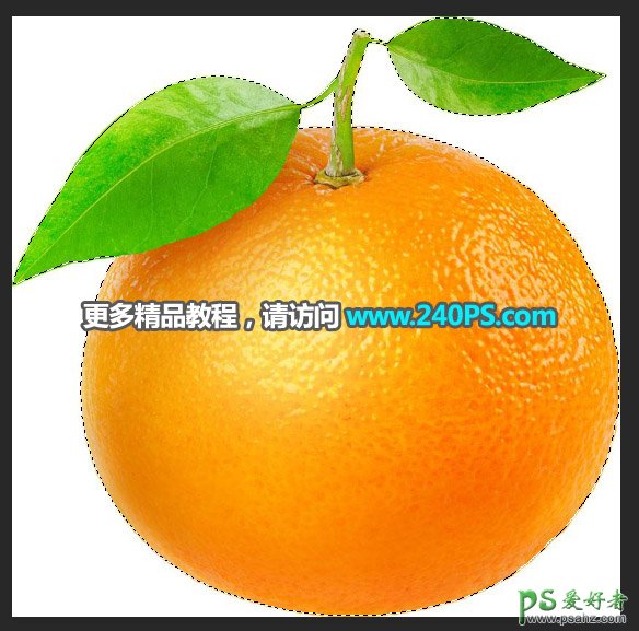 PS合成实例：利用生态素材图创意合成出橙子内部的唯美生态系统。