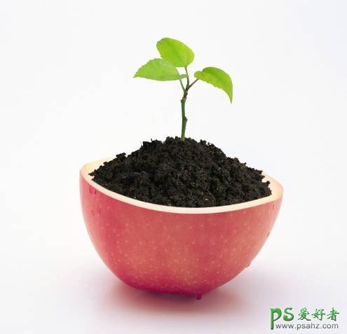 PS场景合成实例：创意打造从半个苹果中生长出来的绿色植物场景。