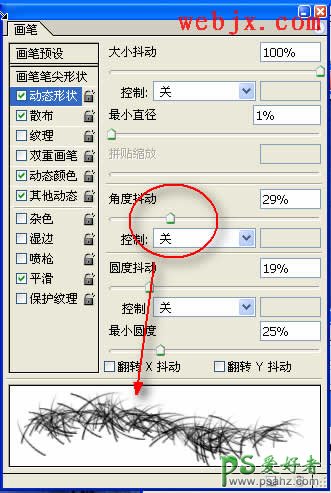 巧用PS画笔给可爱的鹦鹉图片添加多彩毛绒边框效果