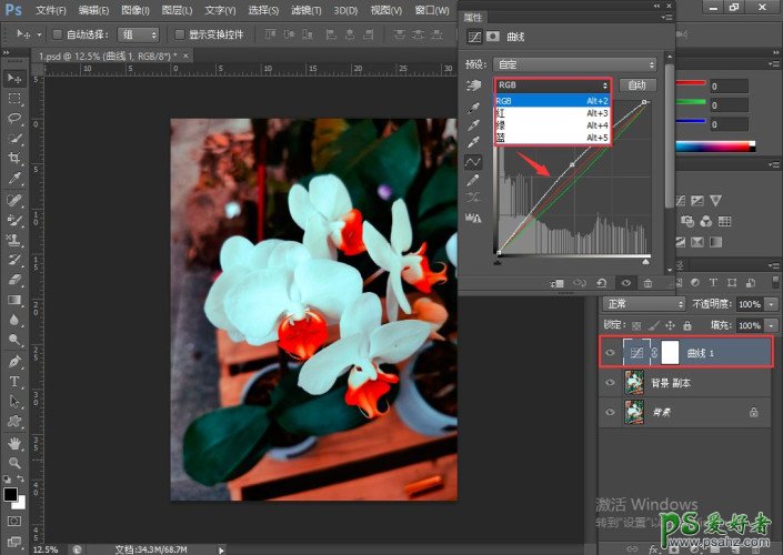 学习用PS“可选颜色”调整图像,单独为鲜花进行调色,更换花朵颜色