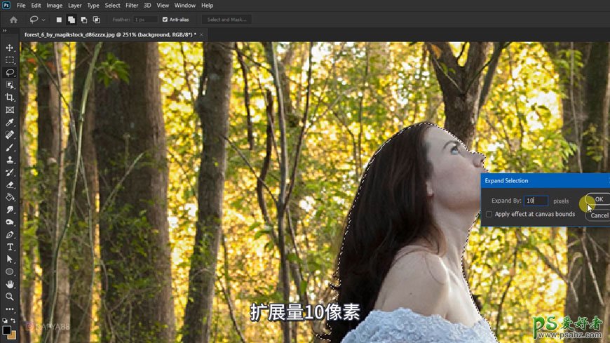 利用PS后期美化及溶图技术打造唯美森林中的婚片少女写真。