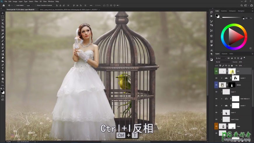 Photoshop创意合成森系婚纱照美女与巨型鸟笼在森林中的秘境场景