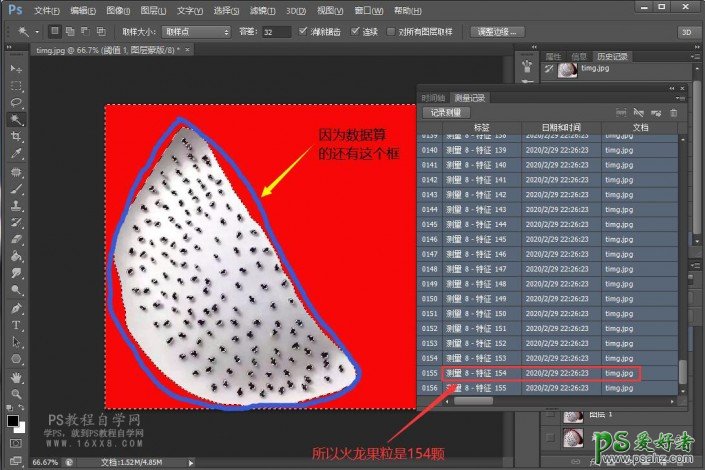 PS工具的花样玩法：用快速计算工具算出图中火龙果有多少颗籽。