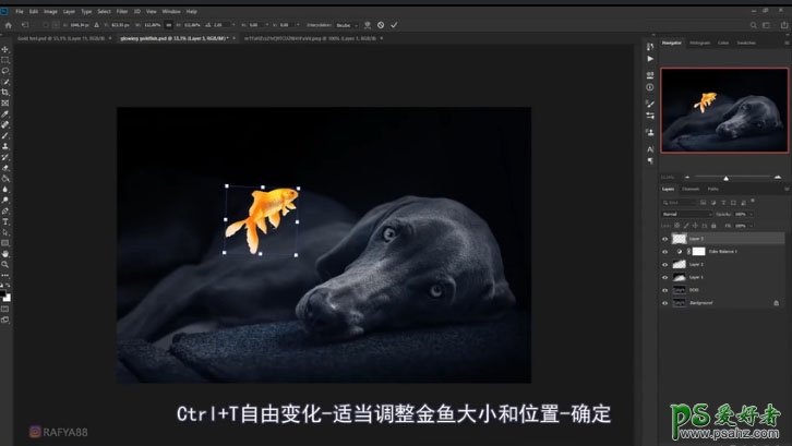 PS合成教程：创意打造一条孤独的小狗和会飞的发光金鱼约会的场景