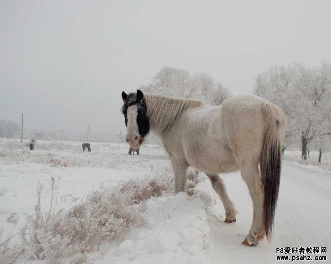 Photoshop+RAW调出意境的冬日雪景照片效果