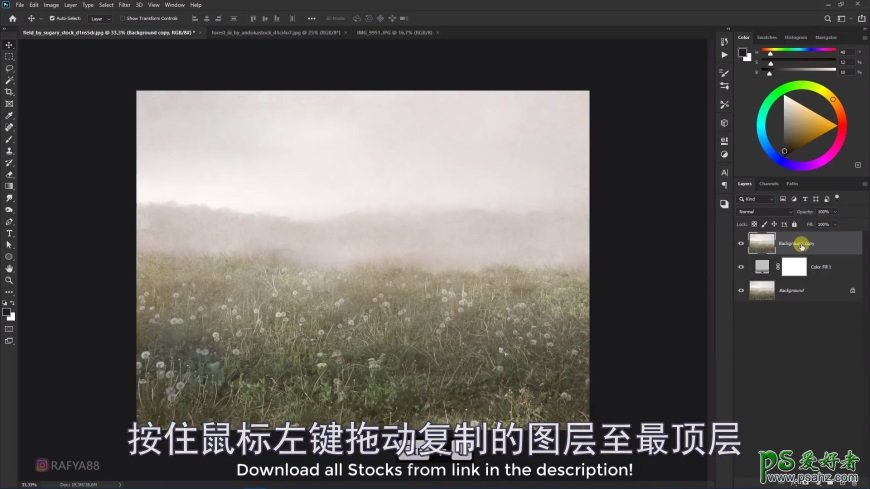 Photoshop创意合成森系婚纱照美女与巨型鸟笼在森林中的秘境场景