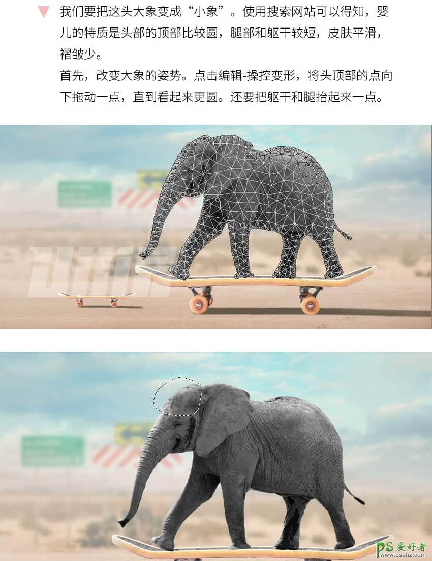 PS动物合成教程：打造有趣的大象与小老鼠踩着滑板表演马戏的场景