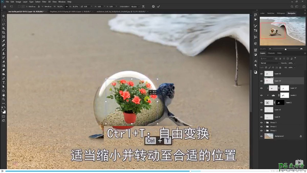 Photoshop创意合成小海龟走进掀开被子效果的海浪中，回家的海龟