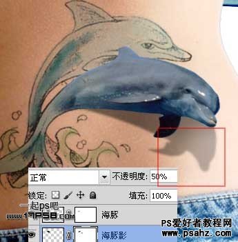 photoshop合成立体感的海豚纹身效果