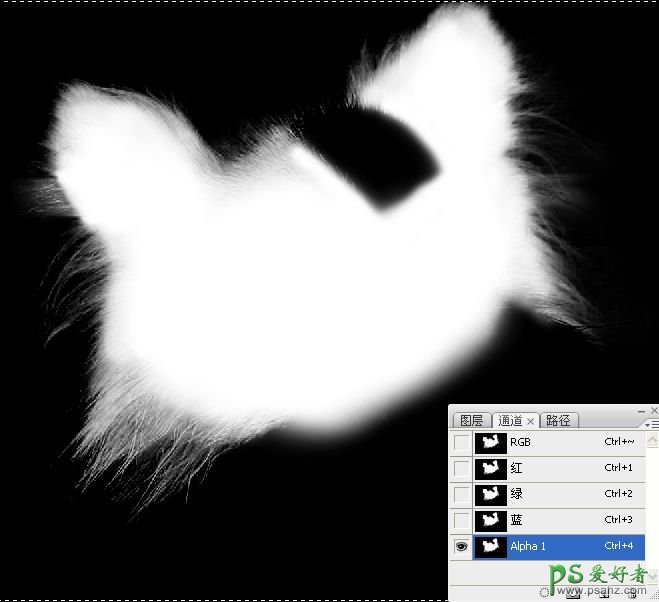 PS抠图教程：利用通道和画笔快速抠出可爱的长毛宠物狗