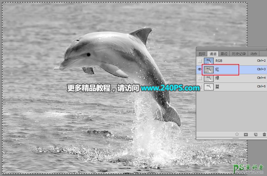 利用Photoshop通道及调色工具快速把跃出水面的海豚素材图片