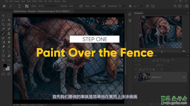 PS抠图大神教你如何快速完美的去除宠物狗图像中的铁丝网纹。