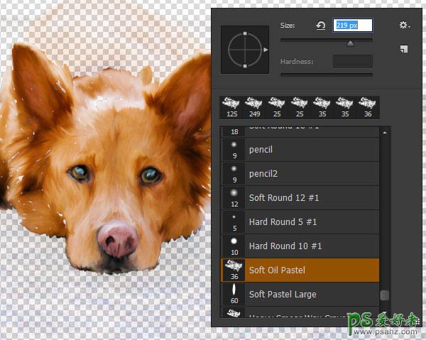 PS转手绘教程：学习用涂沫工具快速把宠物狗照片制作成绘画效果
