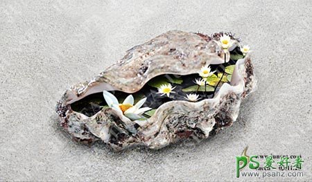 PS合成教程：创意合成海贝壳中的风景-非常漂亮