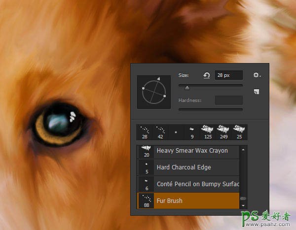 PS转手绘教程：学习用涂沫工具快速把宠物狗照片制作成绘画效果