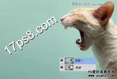 photoshop创意合成一只喷火的猫