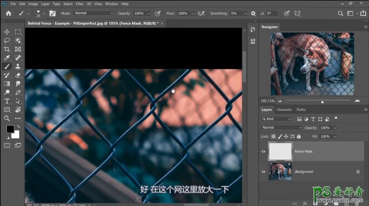 PS抠图大神教你如何快速完美的去除宠物狗图像中的铁丝网纹。
