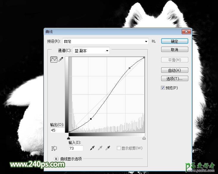 PS通道抠图教程：完美抠出可爱的狗狗图片，多毛的小狗并更换背景