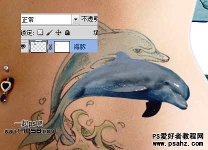 photoshop合成立体感的海豚纹身效果