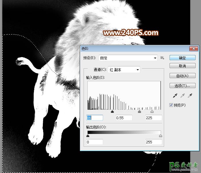 Photoshop通道抠图教程：完美抠出长毛的狮子素材图，跃起的雄狮