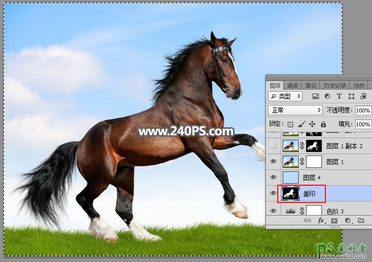 PS抠图教程：学习用通道工具及后期修复技术完美抠出草原上的骏马